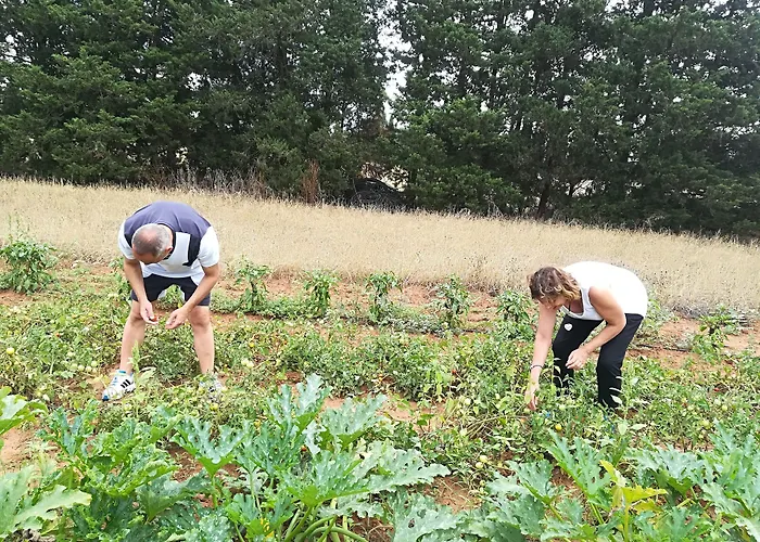 Bed & Breakfast Masseria Fracchicchi Galatina