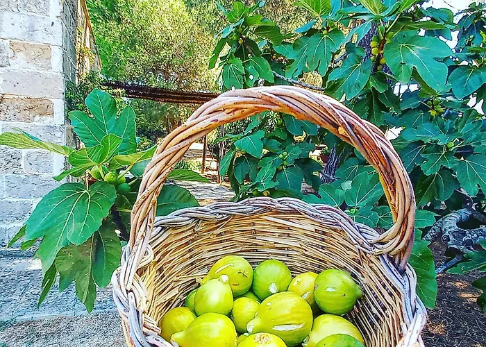 Bed & Breakfast Masseria Fracchicchi 3*