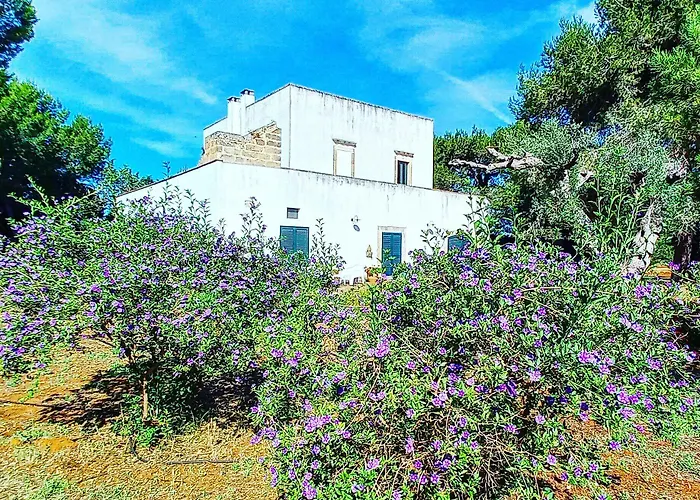 Masseria Fracchicchi 3* Galatina