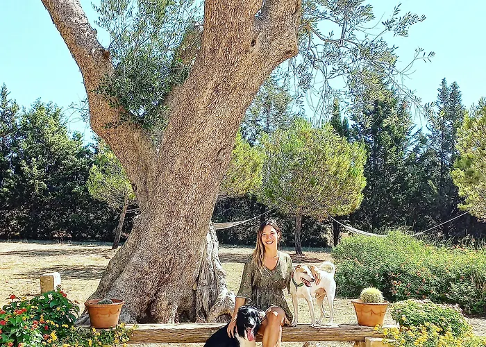 Bed & Breakfast Masseria Fracchicchi