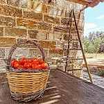 Masseria Fracchicchi Bed & Breakfast