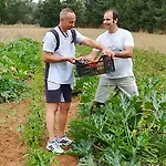 Bed & Breakfast Masseria Fracchicchi