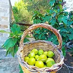 Bed & Breakfast Masseria Fracchicchi 3*