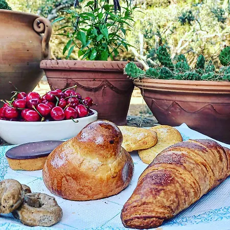 Masseria Fracchicchi