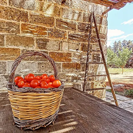 Masseria Fracchicchi Bed & Breakfast