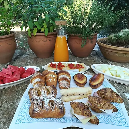 Nocleg ze śniadaniem Masseria Fracchicchi Galatina