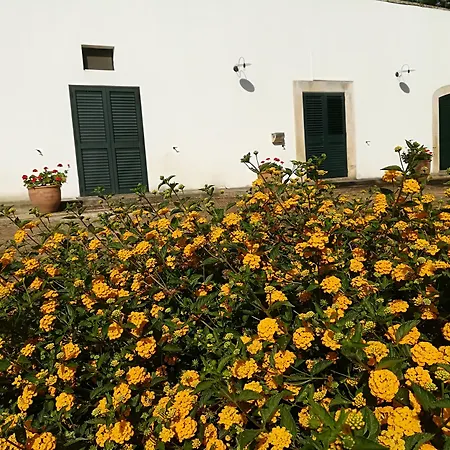 Masseria Fracchicchi Oda ve Kahvaltı