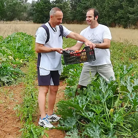 Nocleg ze śniadaniem Masseria Fracchicchi