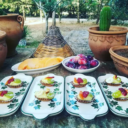 Masseria Fracchicchi Nocleg ze śniadaniem