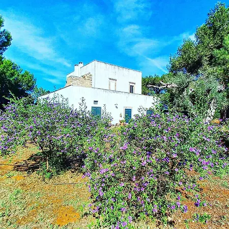 Masseria Fracchicchi 3* Galatina