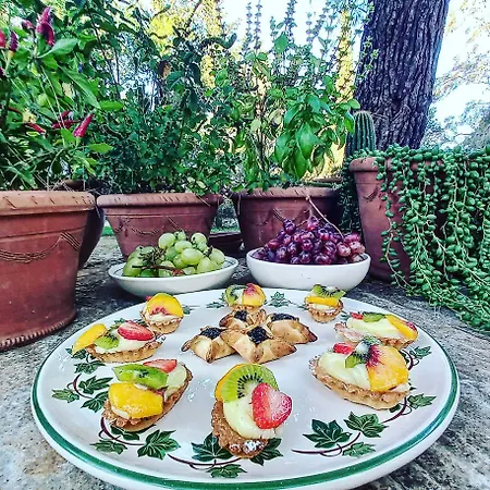 Masseria Fracchicchi فندق مبيت وإفطار غالاتينا