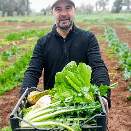 Masseria Fracchicchi Nocleg ze śniadaniem