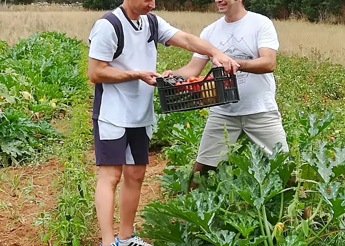 Oda ve Kahvaltı Masseria Fracchicchi